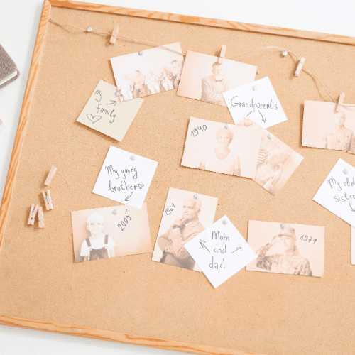 Fotografías familiares sobre un tablero, como un árbol genealógico